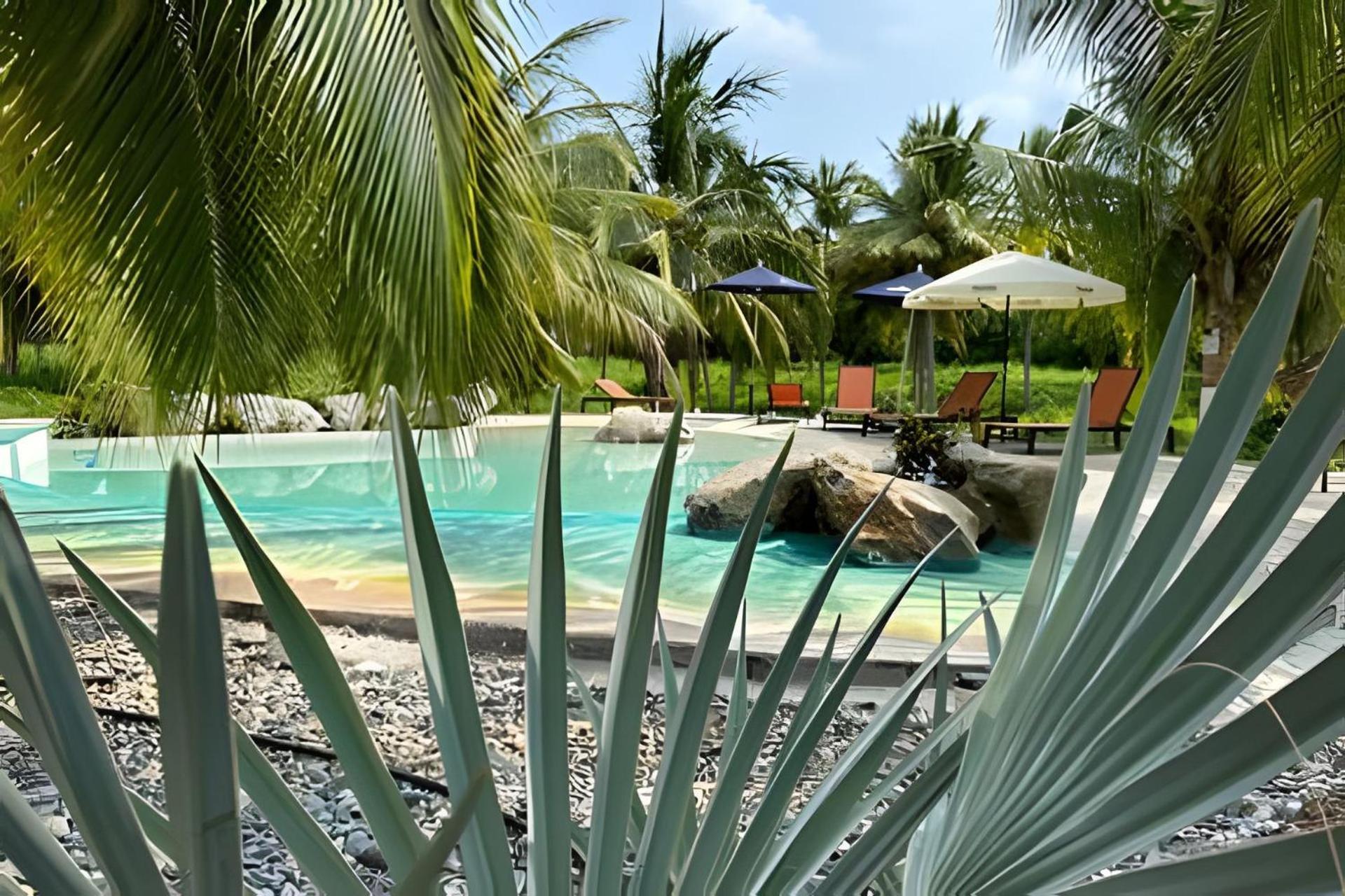 Casa Las Palmas Playa La Saladita Zihuatanejo Extérieur photo