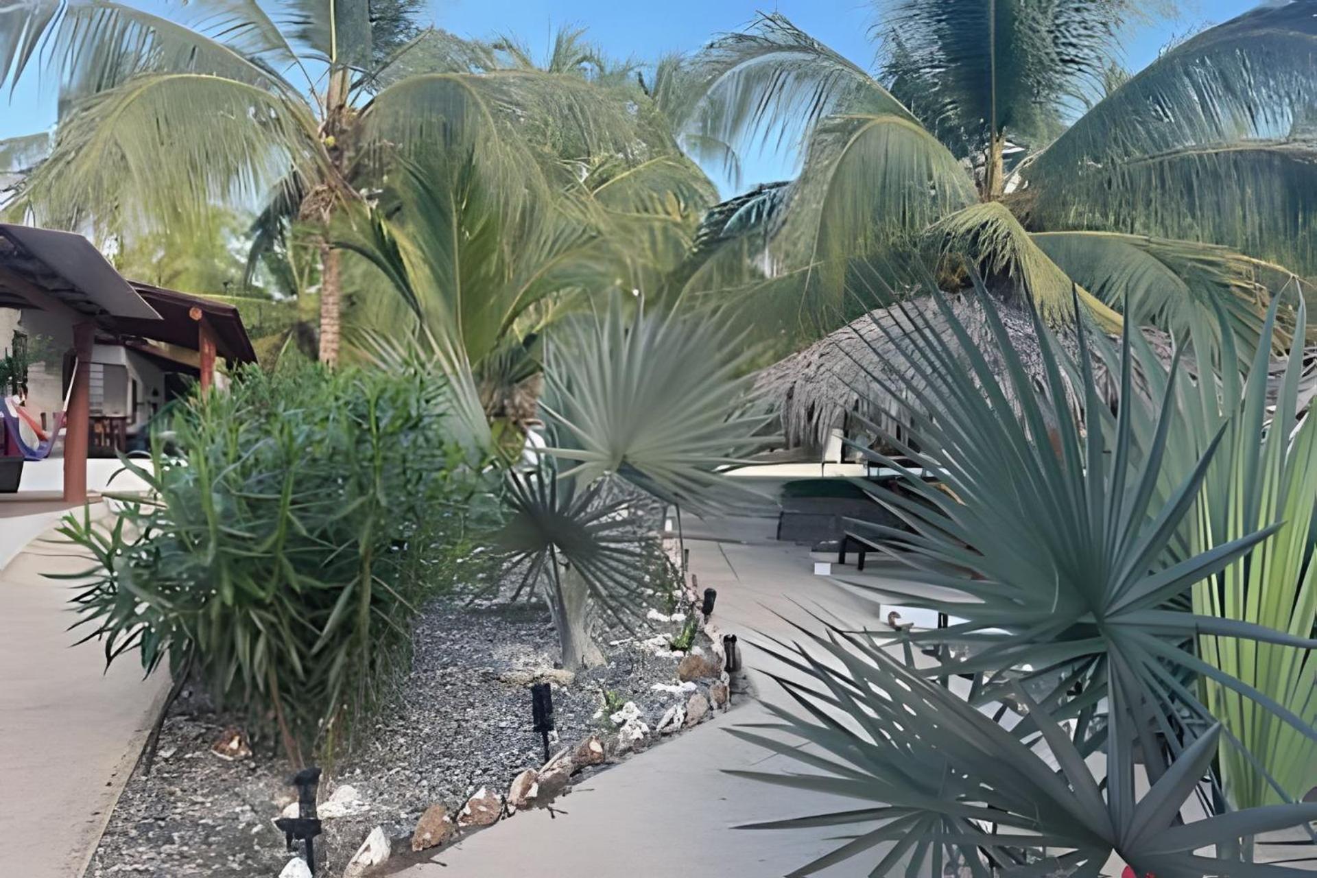 Casa Las Palmas Playa La Saladita Zihuatanejo Extérieur photo