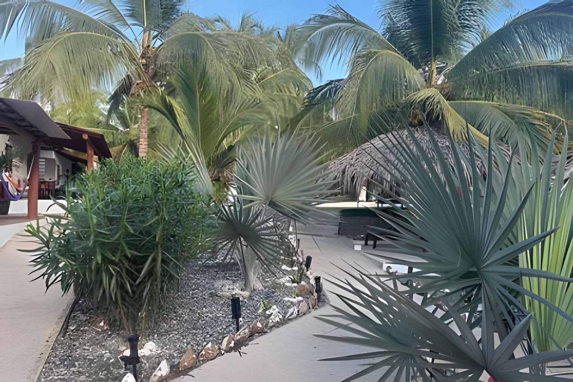 Casa Las Palmas Playa La Saladita Zihuatanejo Extérieur photo