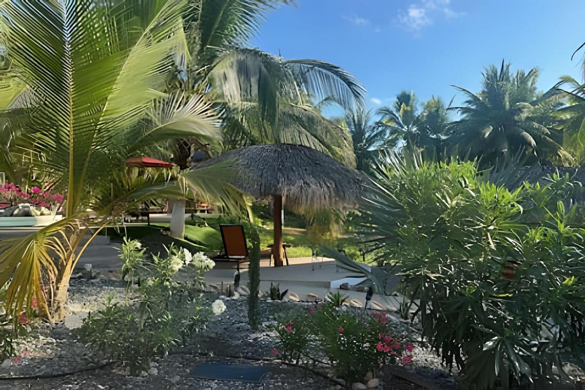 Casa Las Palmas Playa La Saladita Zihuatanejo Extérieur photo