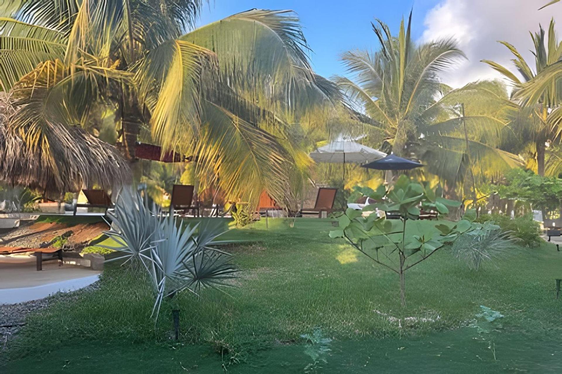 Casa Las Palmas Playa La Saladita Zihuatanejo Extérieur photo