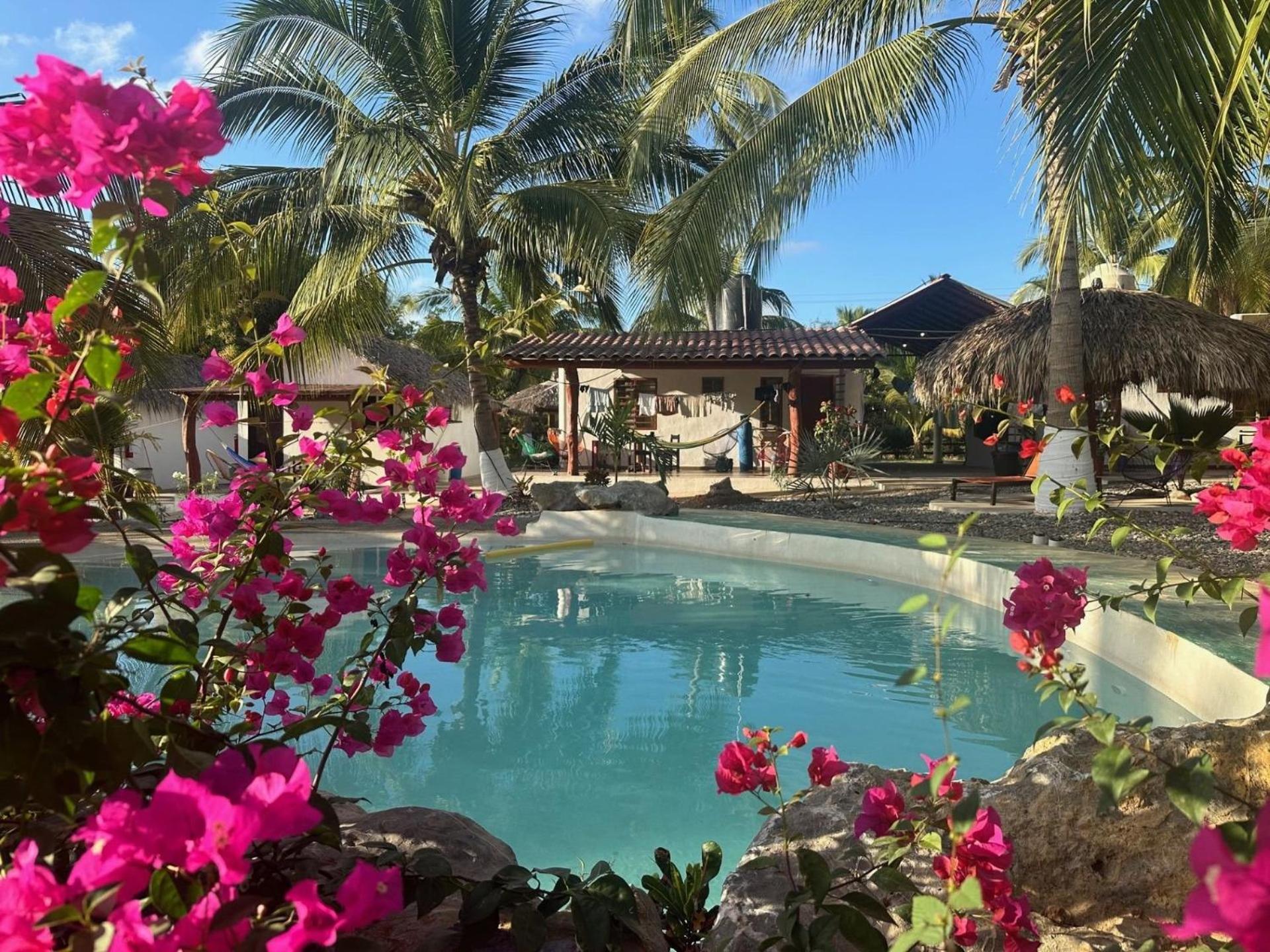 Casa Las Palmas Playa La Saladita Zihuatanejo Extérieur photo